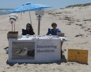 Young people sitting at table on beach with beach-nesting bird outreach materials